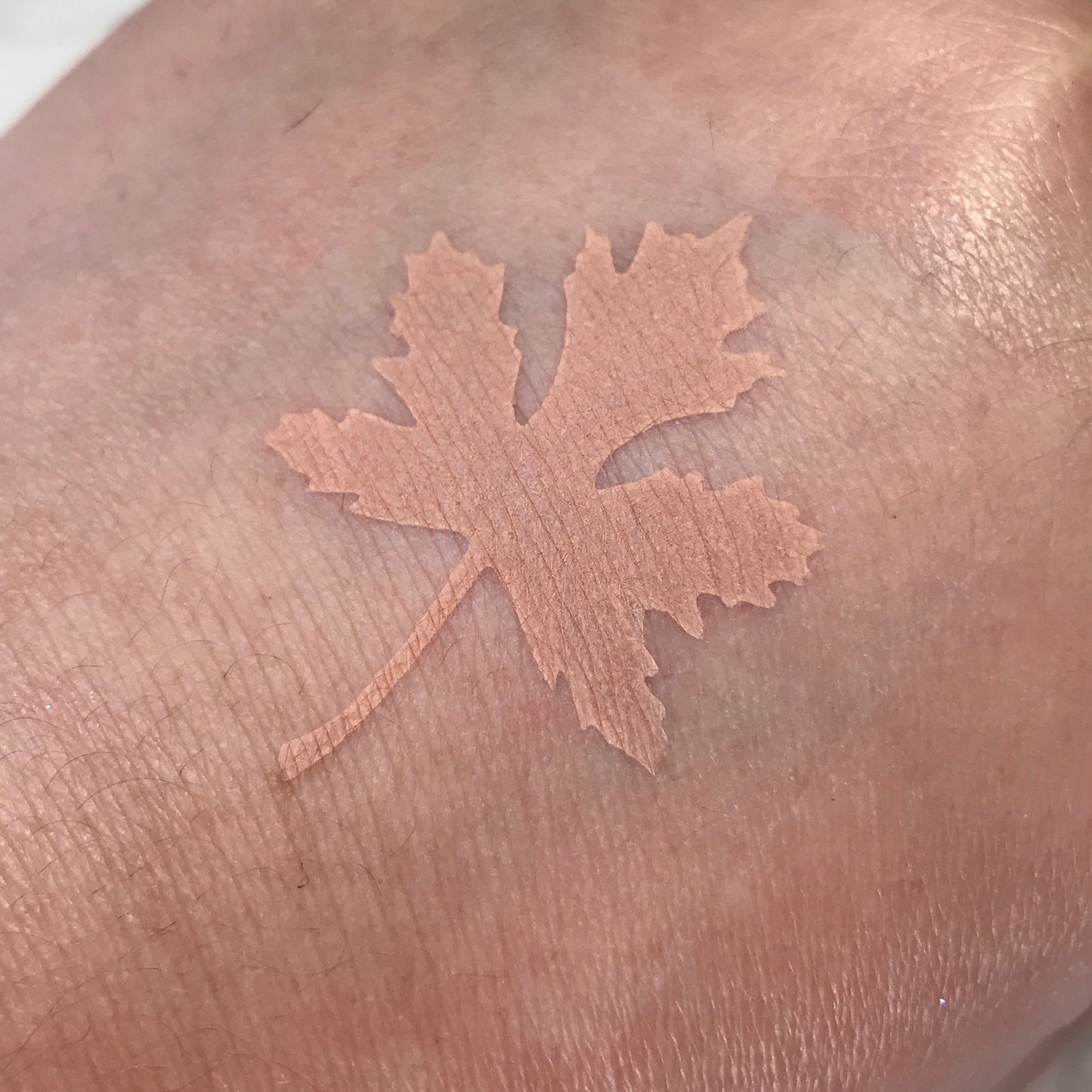 Desert Sand (Ex "On The Nude") - Matte Eyeshadow