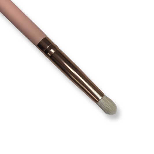 C02 - Small Pencil Brush